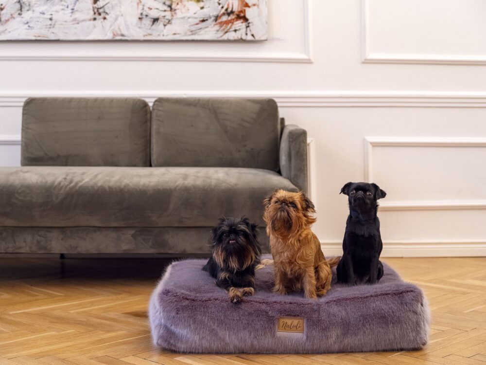 CLARA (7)_compressed