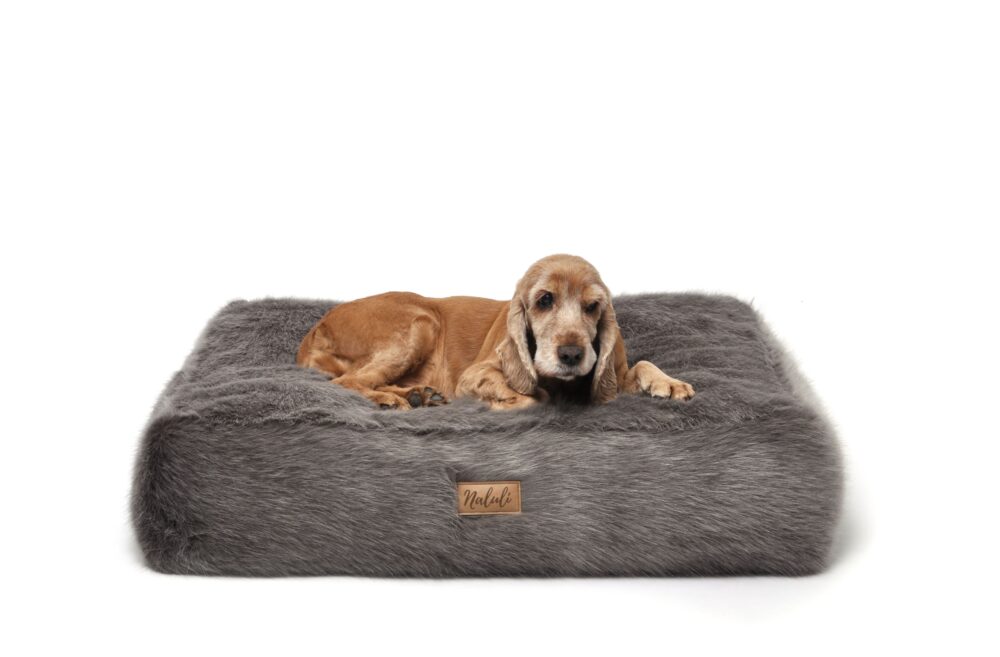 CLARA (9)_compressed