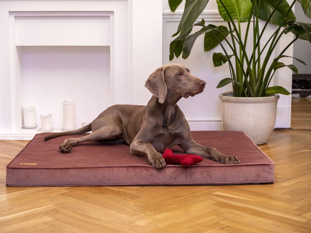 _DSF1491p_compressed