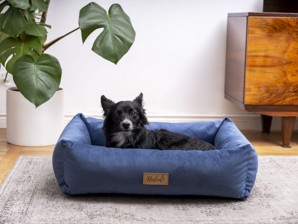 _DSF2120p_compressed