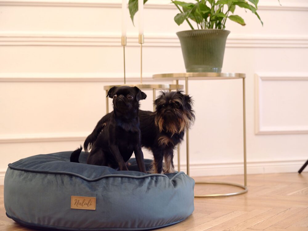 FREJA (10)_compressed