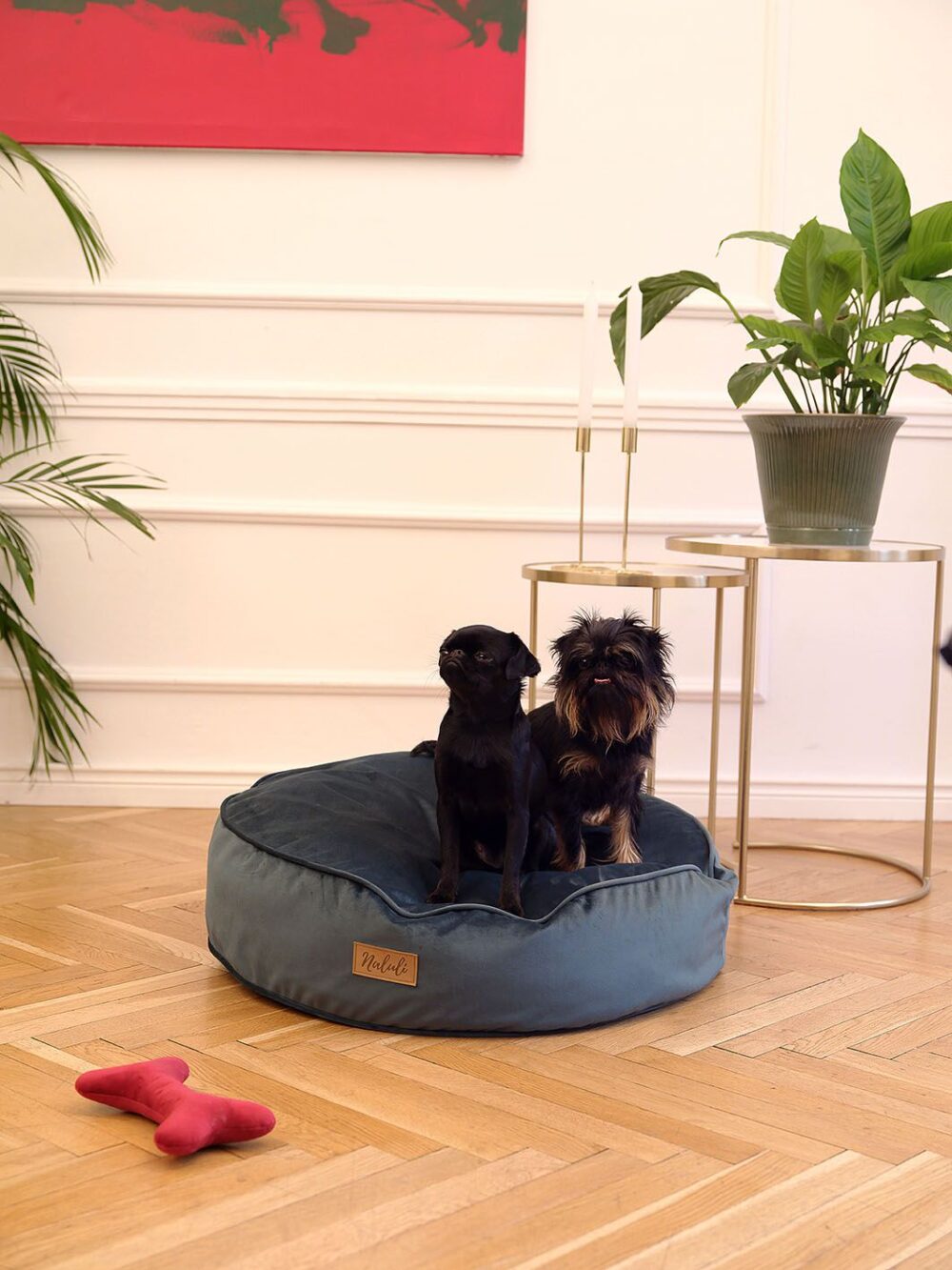 FREJA (11)_compressed