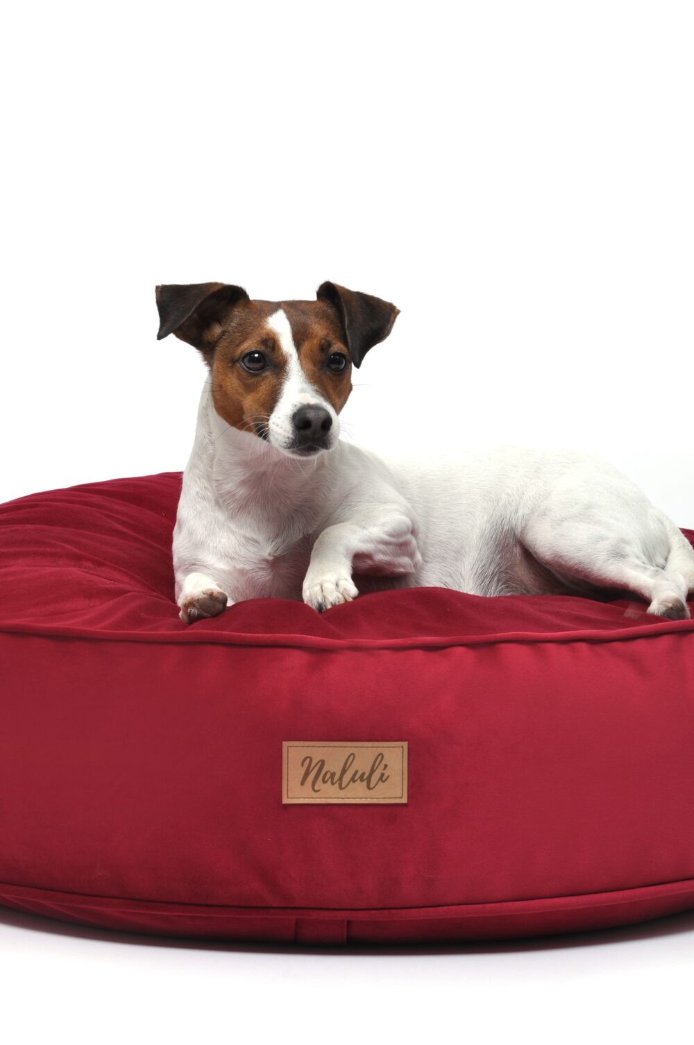 FREJA (16)_compressed