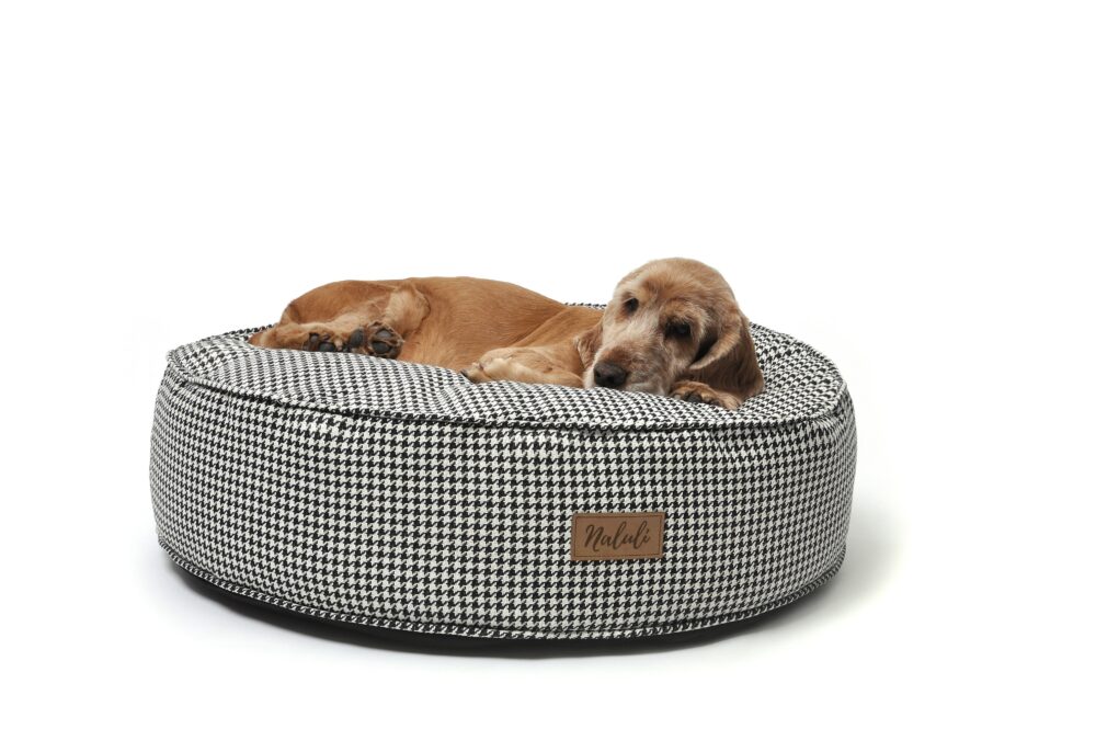 FREJA (21)_compressed