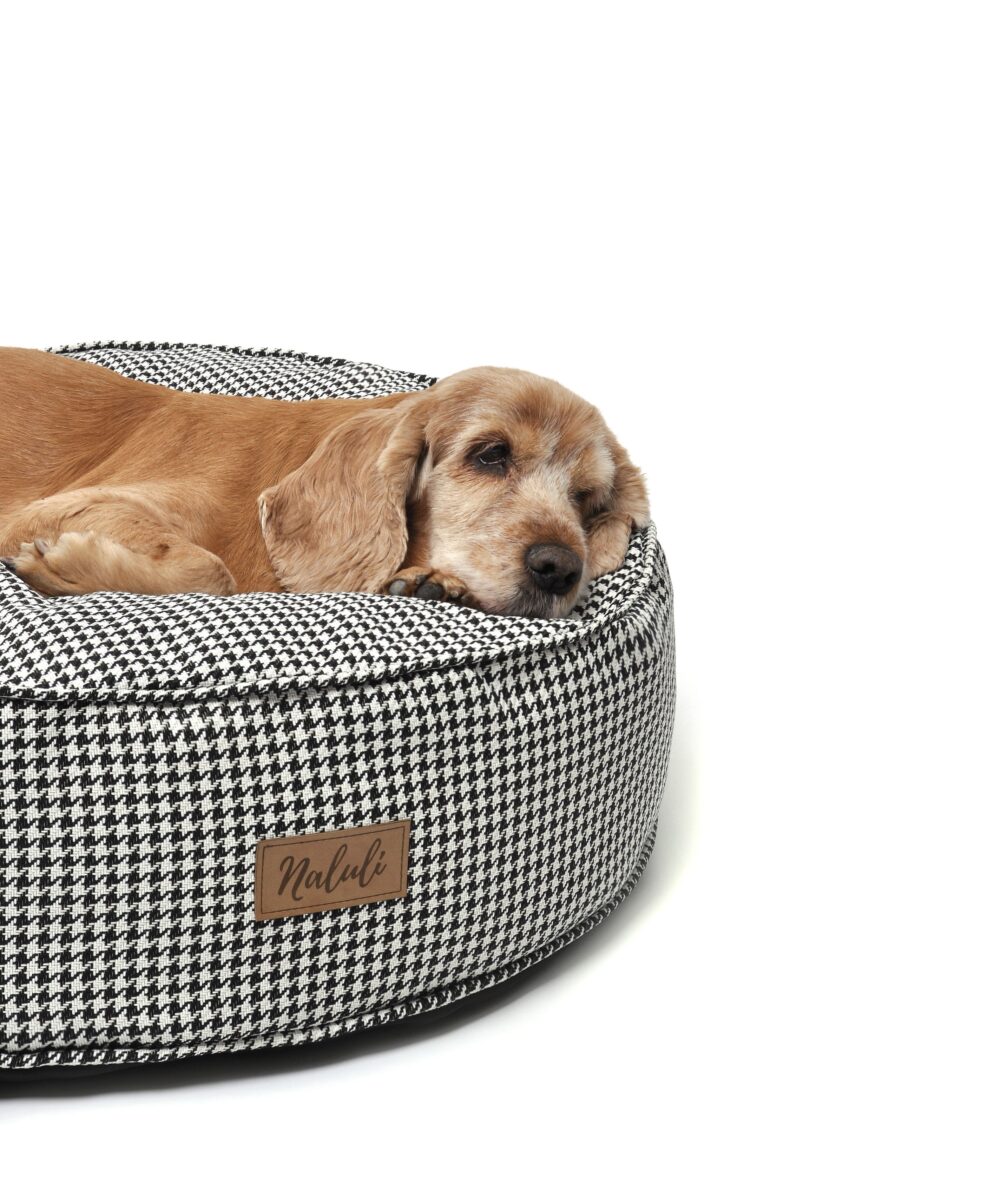 FREJA (22)_compressed