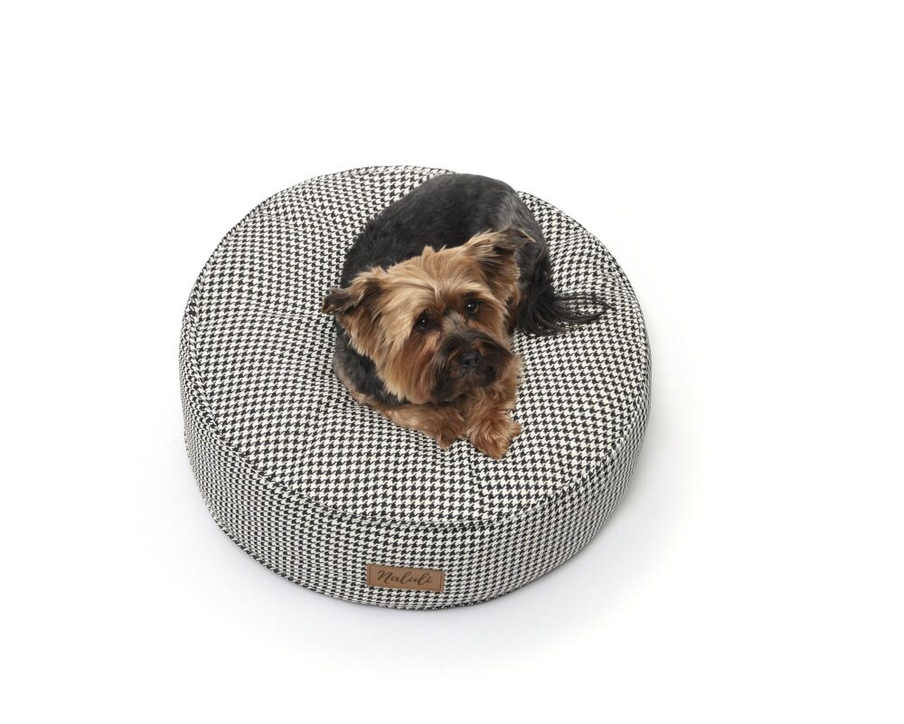 FREJA (25)_compressed