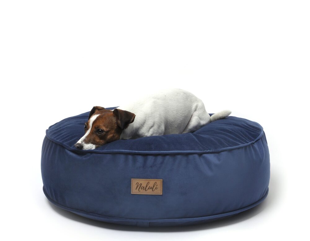 FREJA (30)_compressed