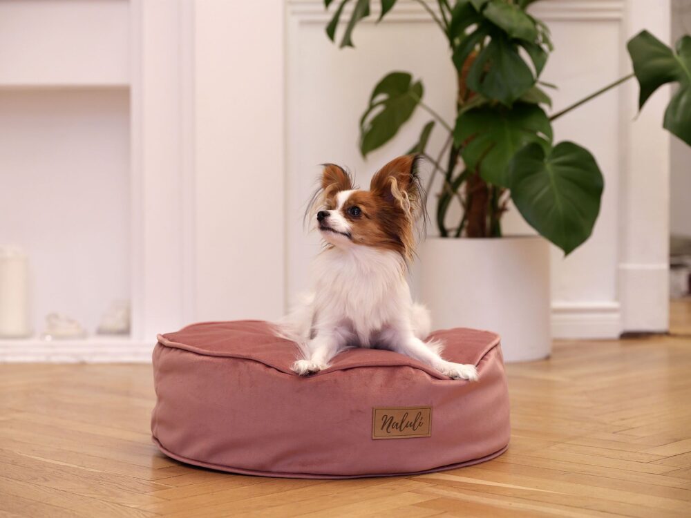 FREJA (4)_compressed