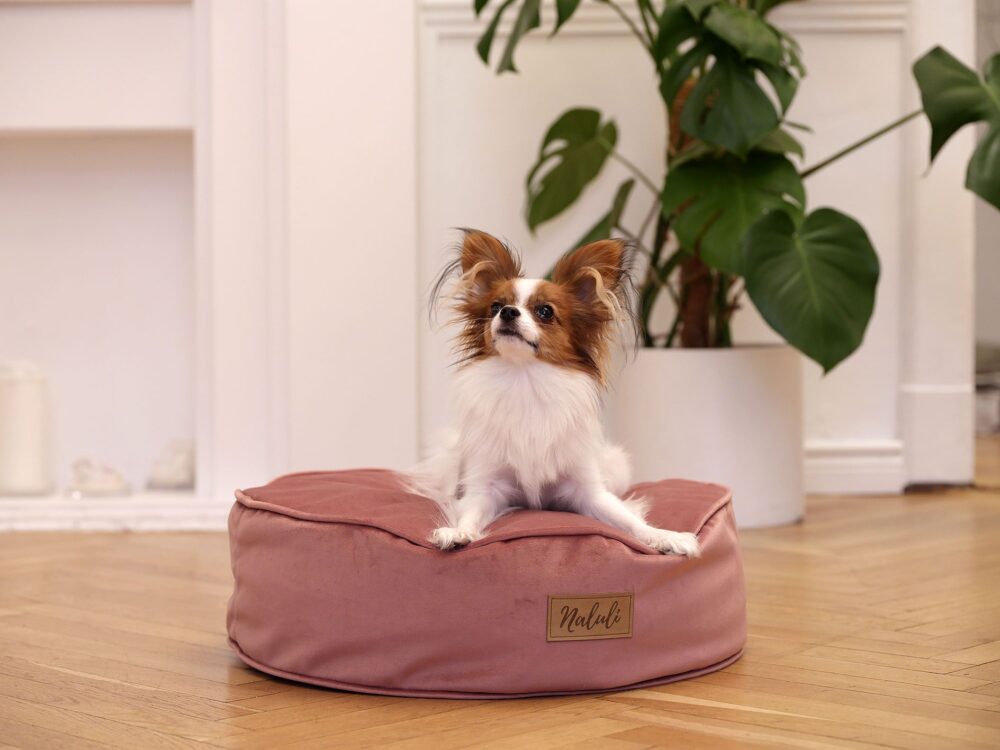 FREJA (5)_compressed