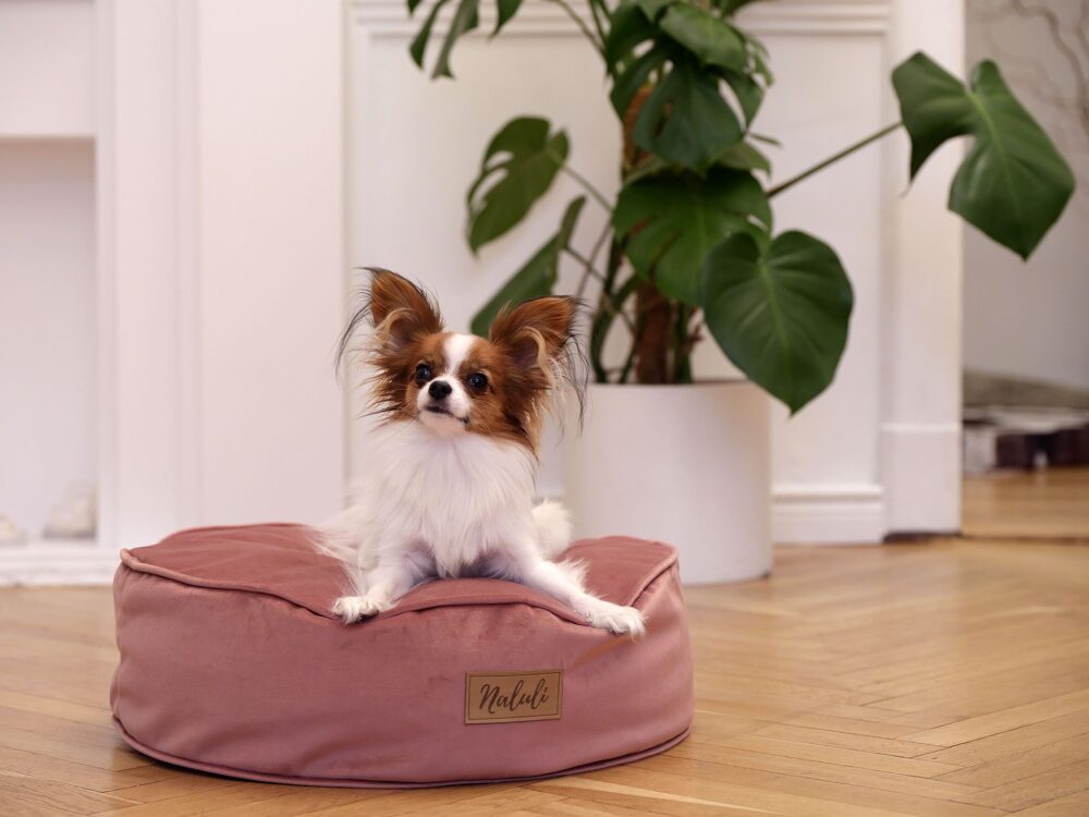 FREJA (6)_compressed