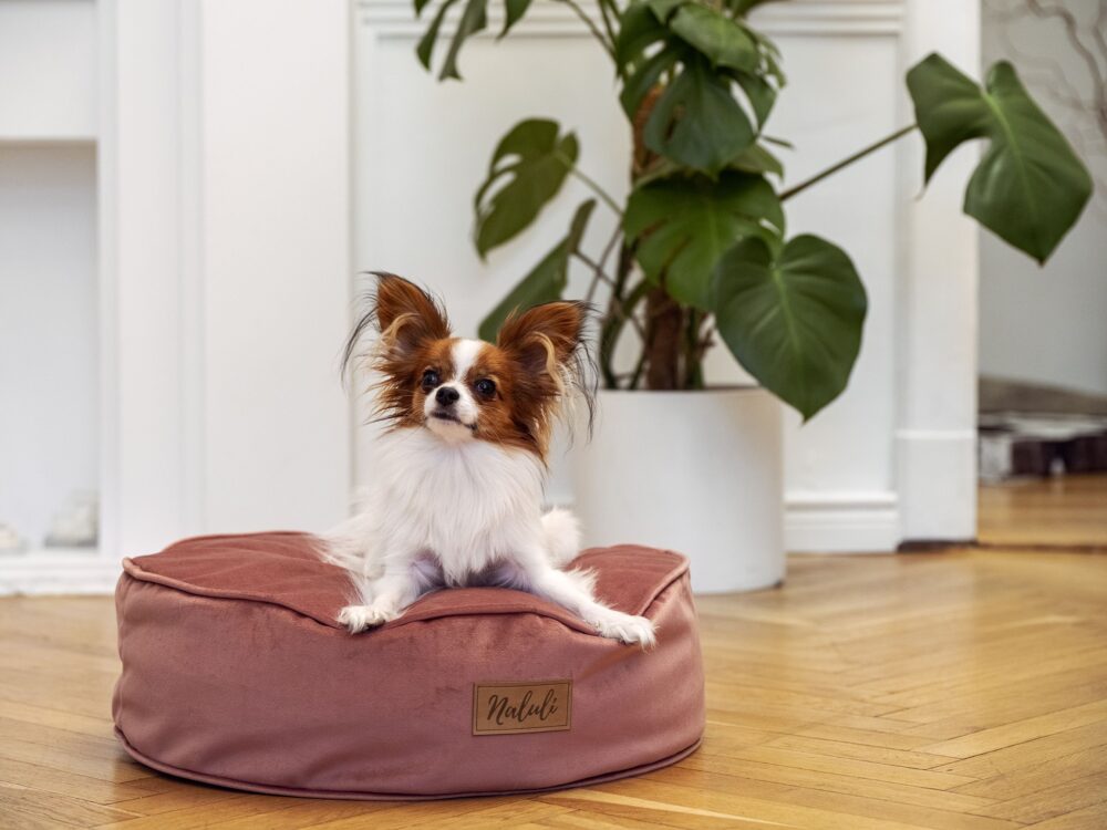 FREJA (7)_compressed