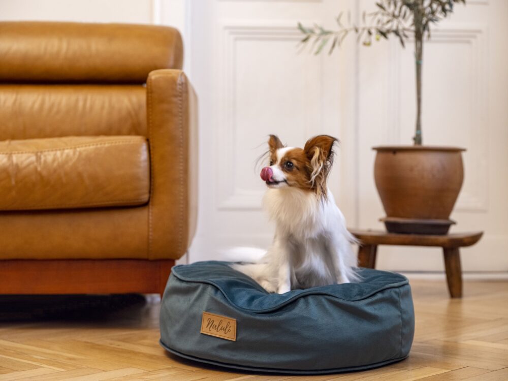 FREJA (8)_compressed